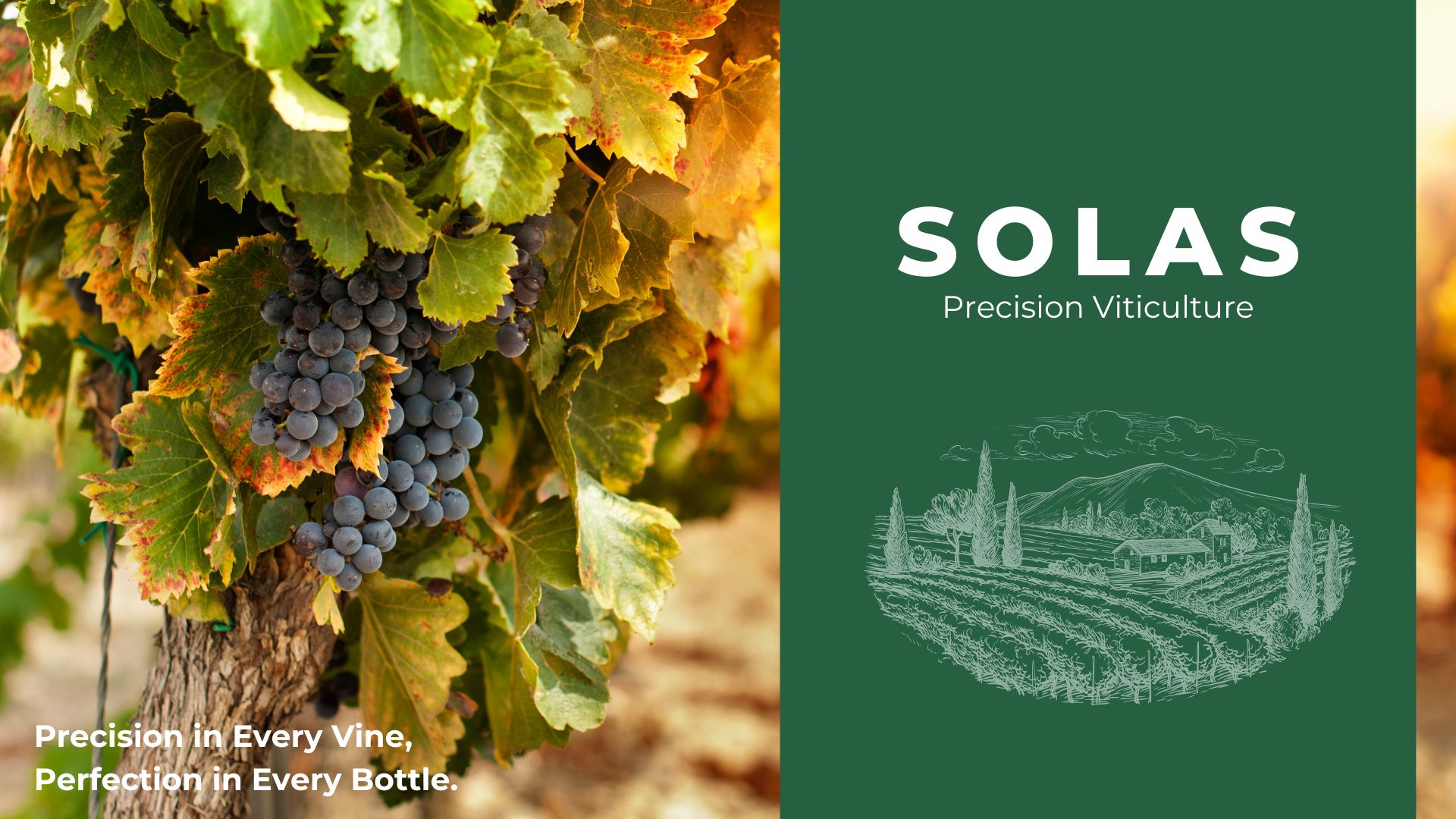 Solas Precision Viticulture